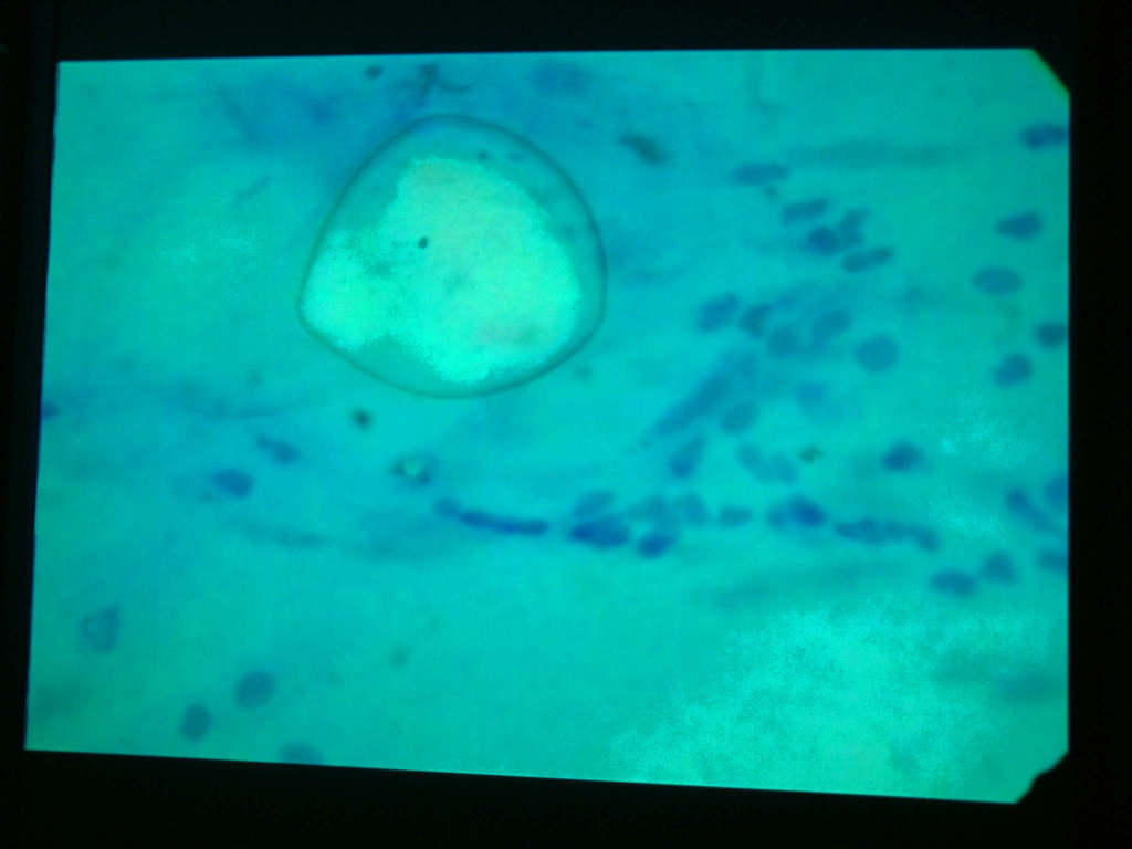 rock_cell_03