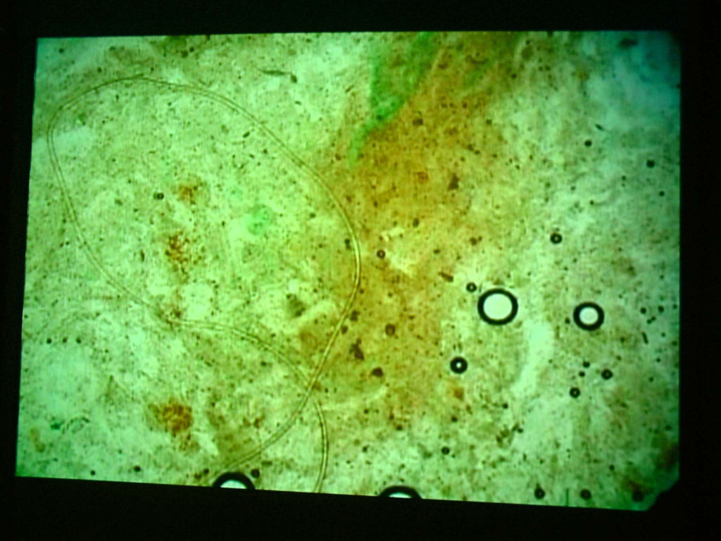 rock_cell_04