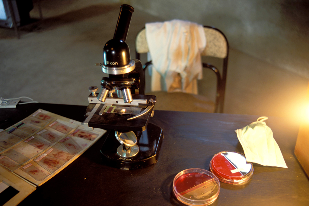 「操作記憶」I - 再”見”酵母菌