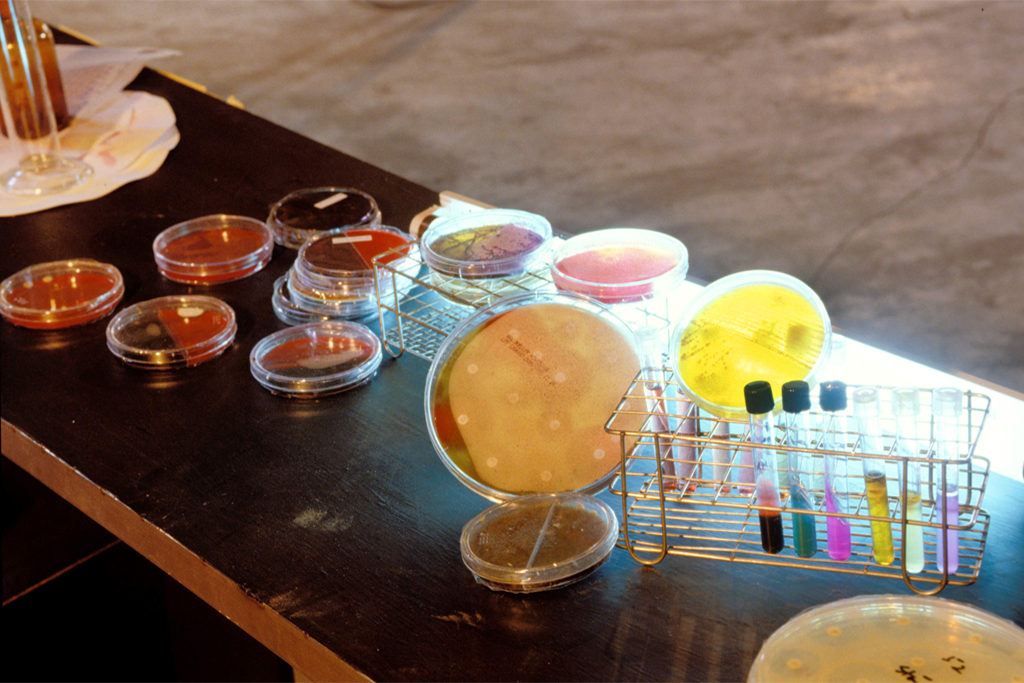 see_yeast_again_5