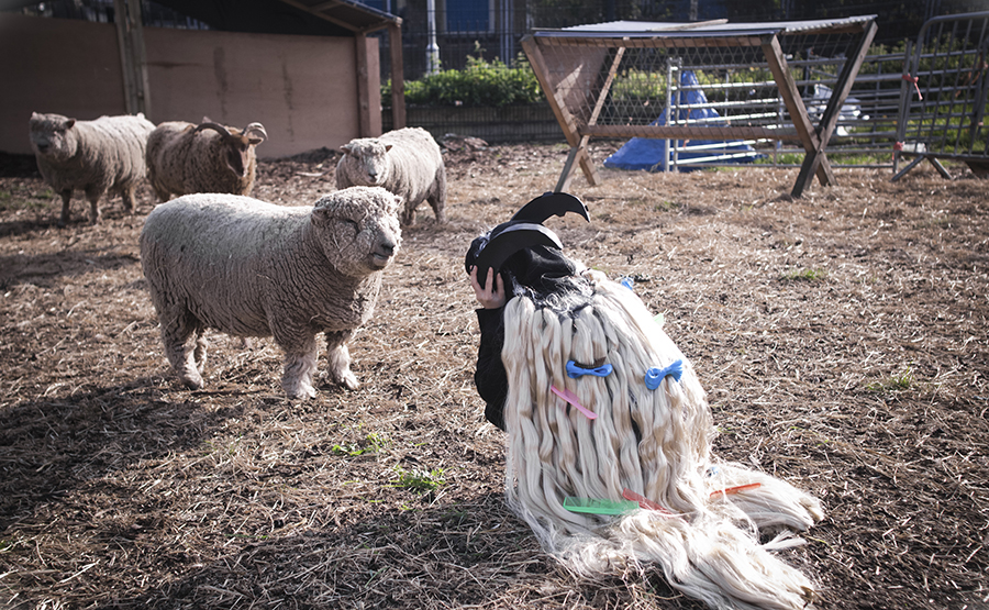 Baaaaaah