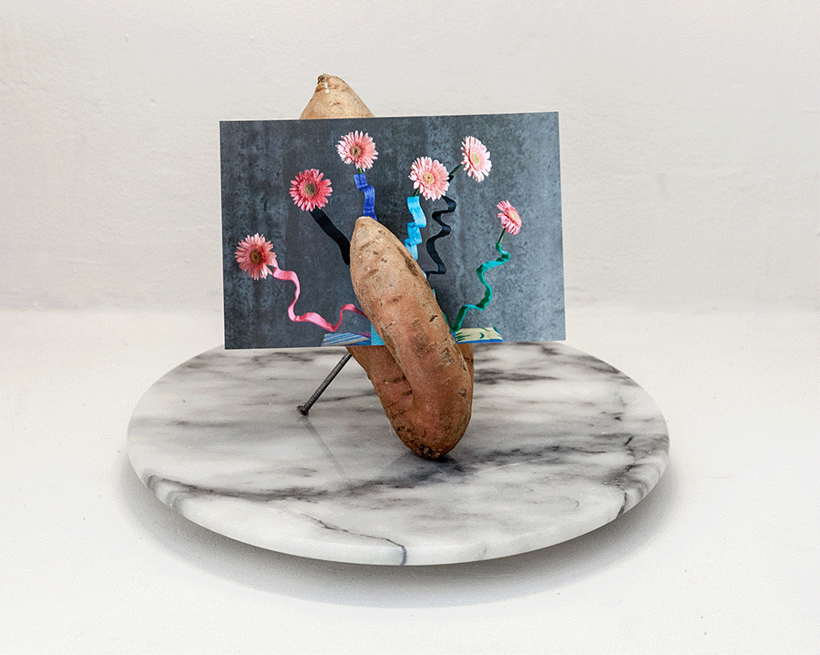 sweet-potato-frame-animated-gif-2-900