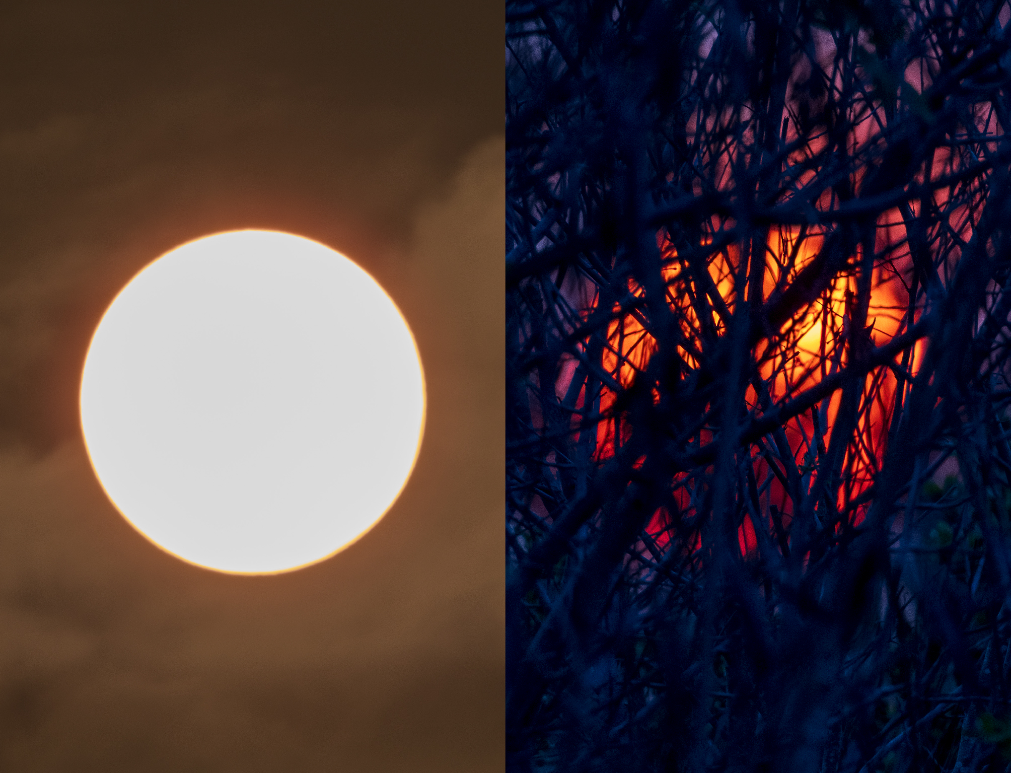 thesun07