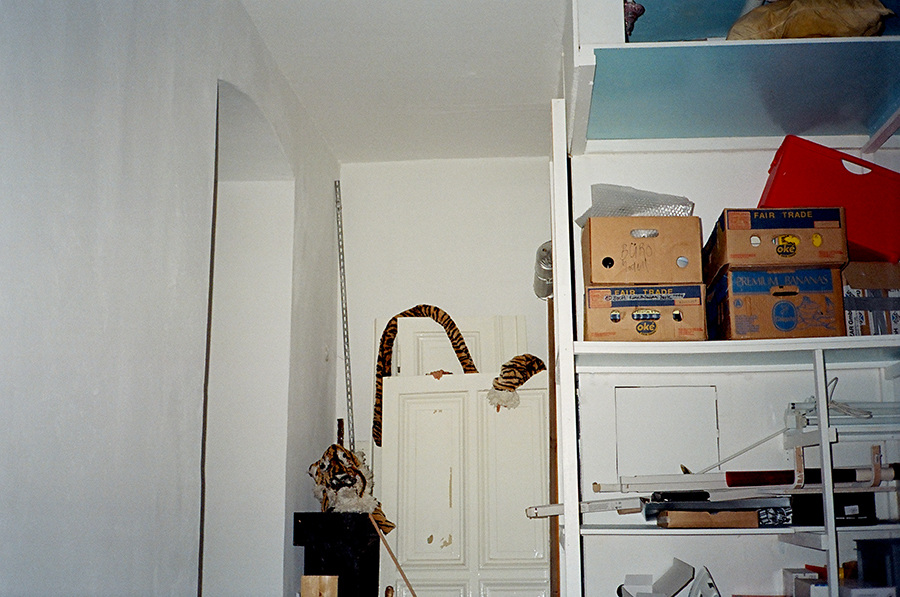 tiger_900_900