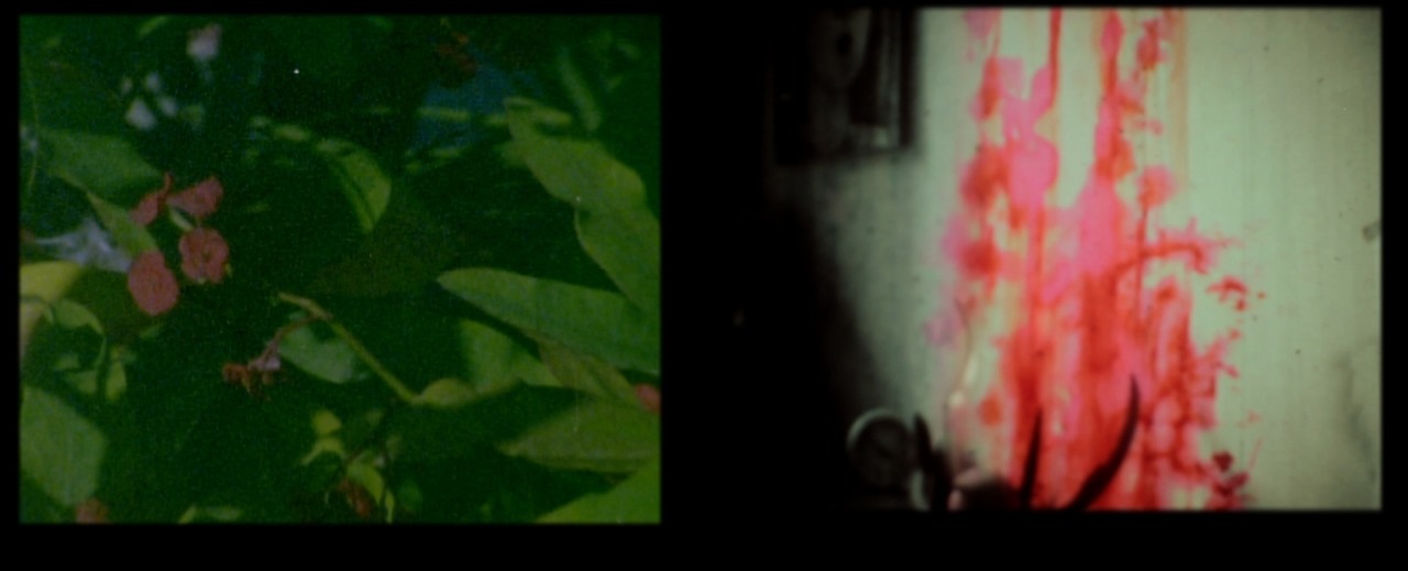tumblr_nm1uadxX5u1qzy74uo6_1280_12805