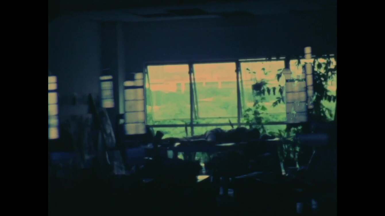 vlcsnap-2021-07-04-02h38m41s254_1340_c