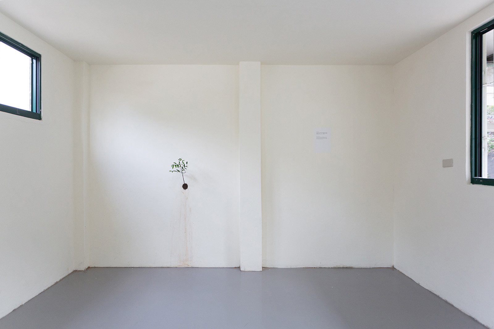 在牆上種一棵樹-1