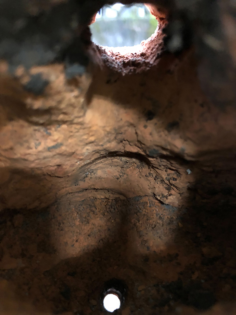 在牆上種一棵樹-10