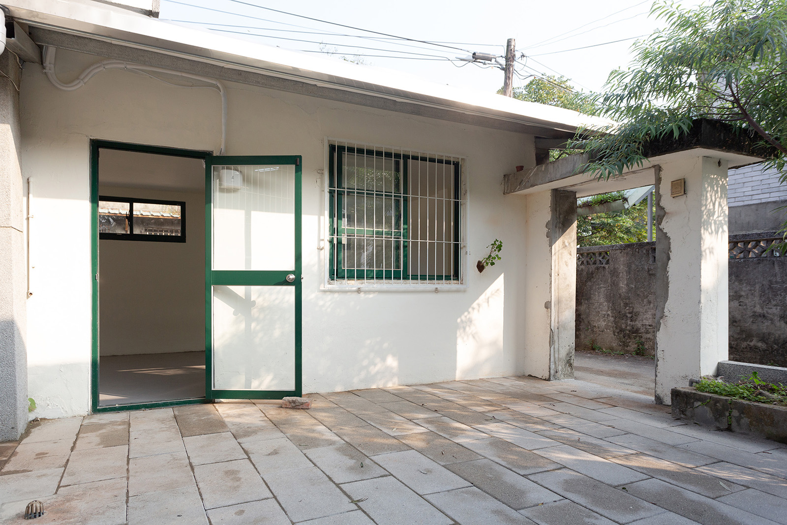 在牆上種一棵樹-12