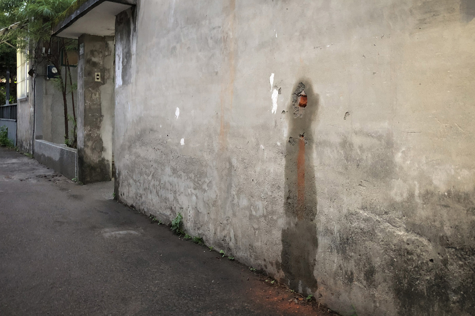 在牆上種一棵樹-5