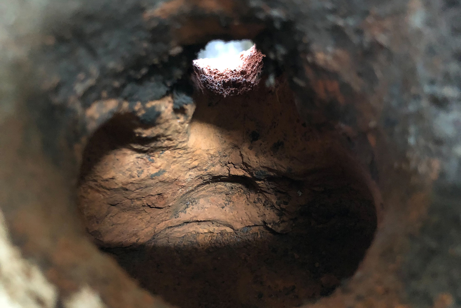 在牆上種一棵樹-9