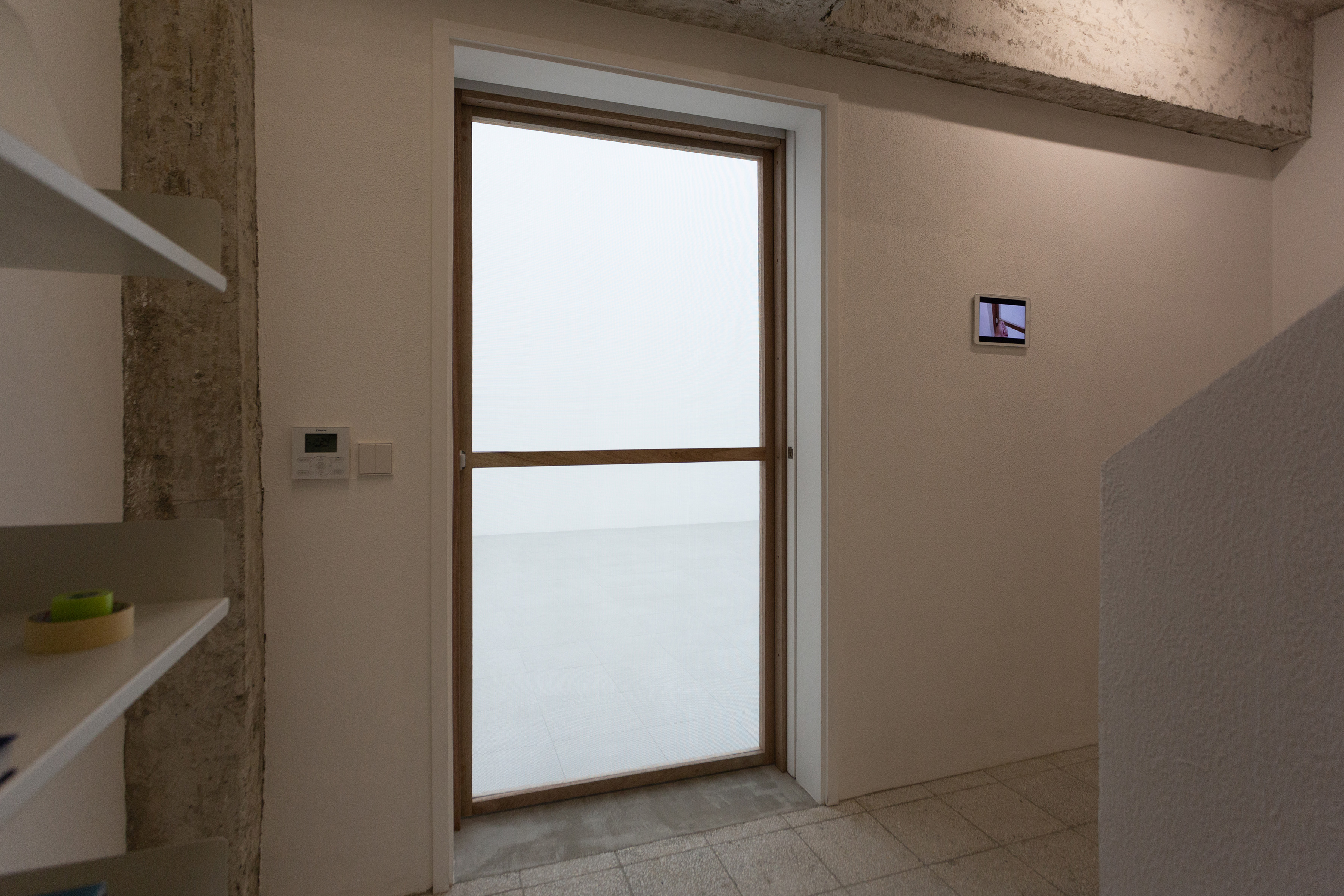 我在空間裡放了一隻蚊子-1