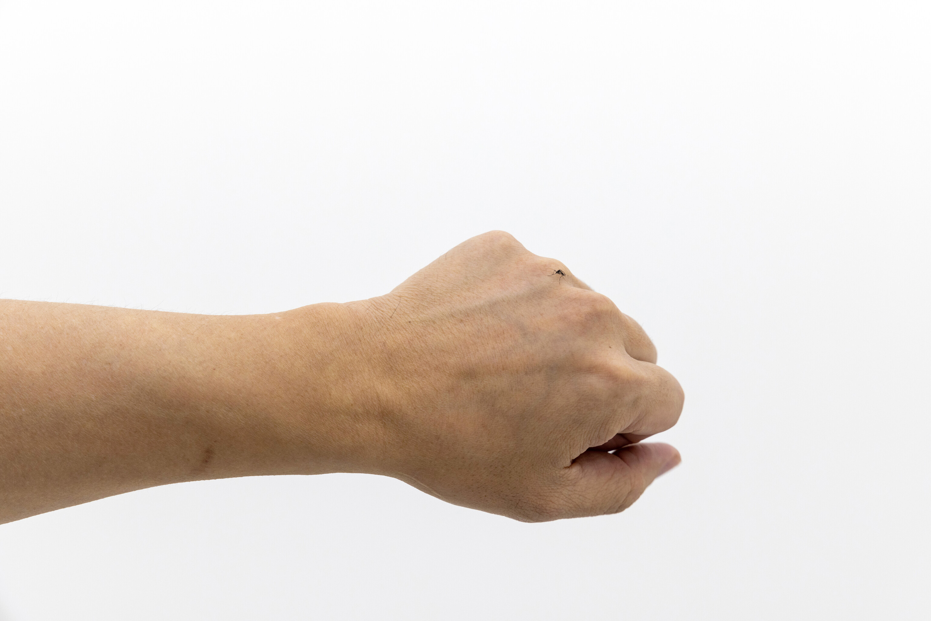 我在空間裡放了一隻蚊子-3