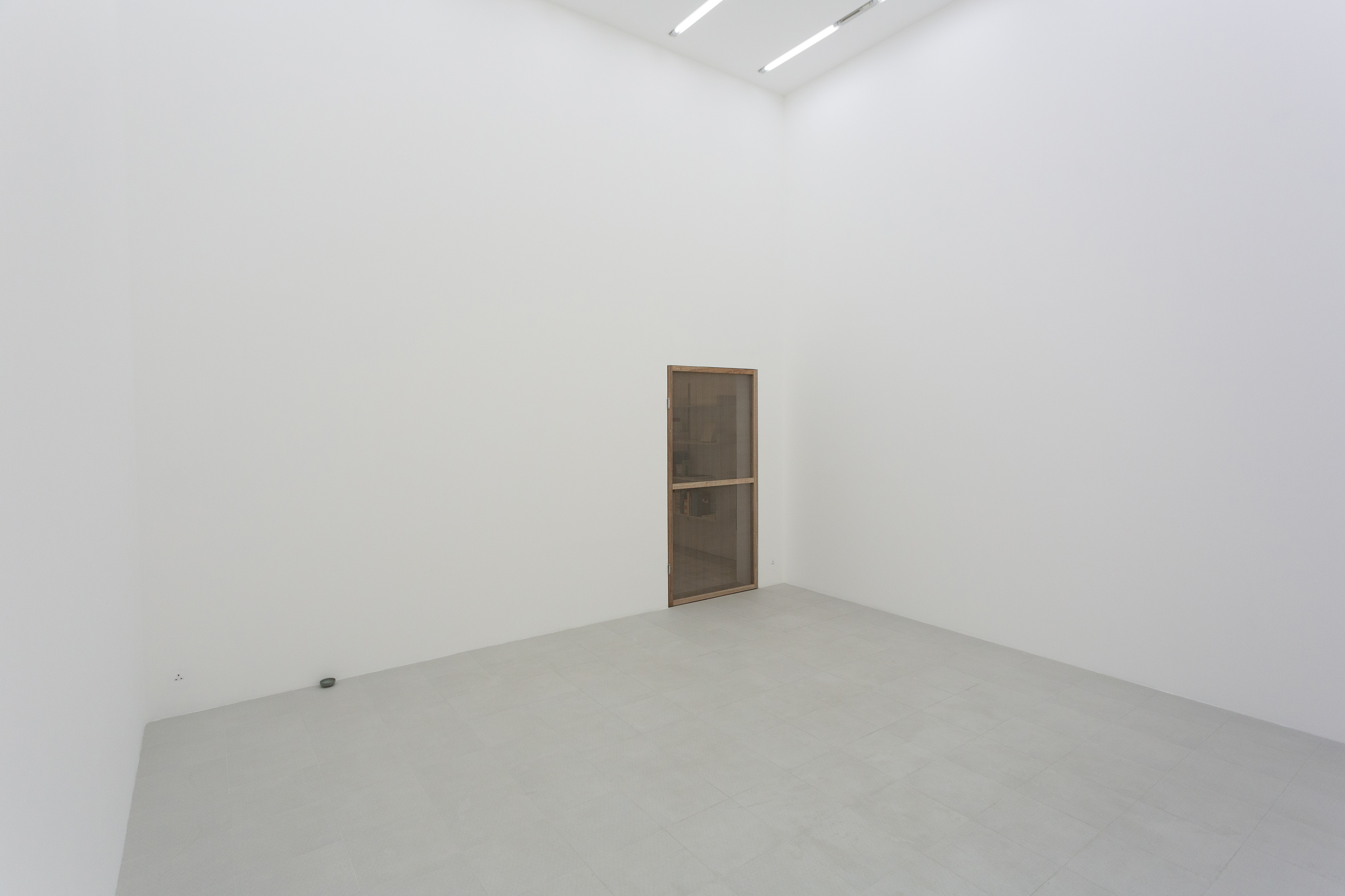 我在空間裡放了一隻蚊子-4