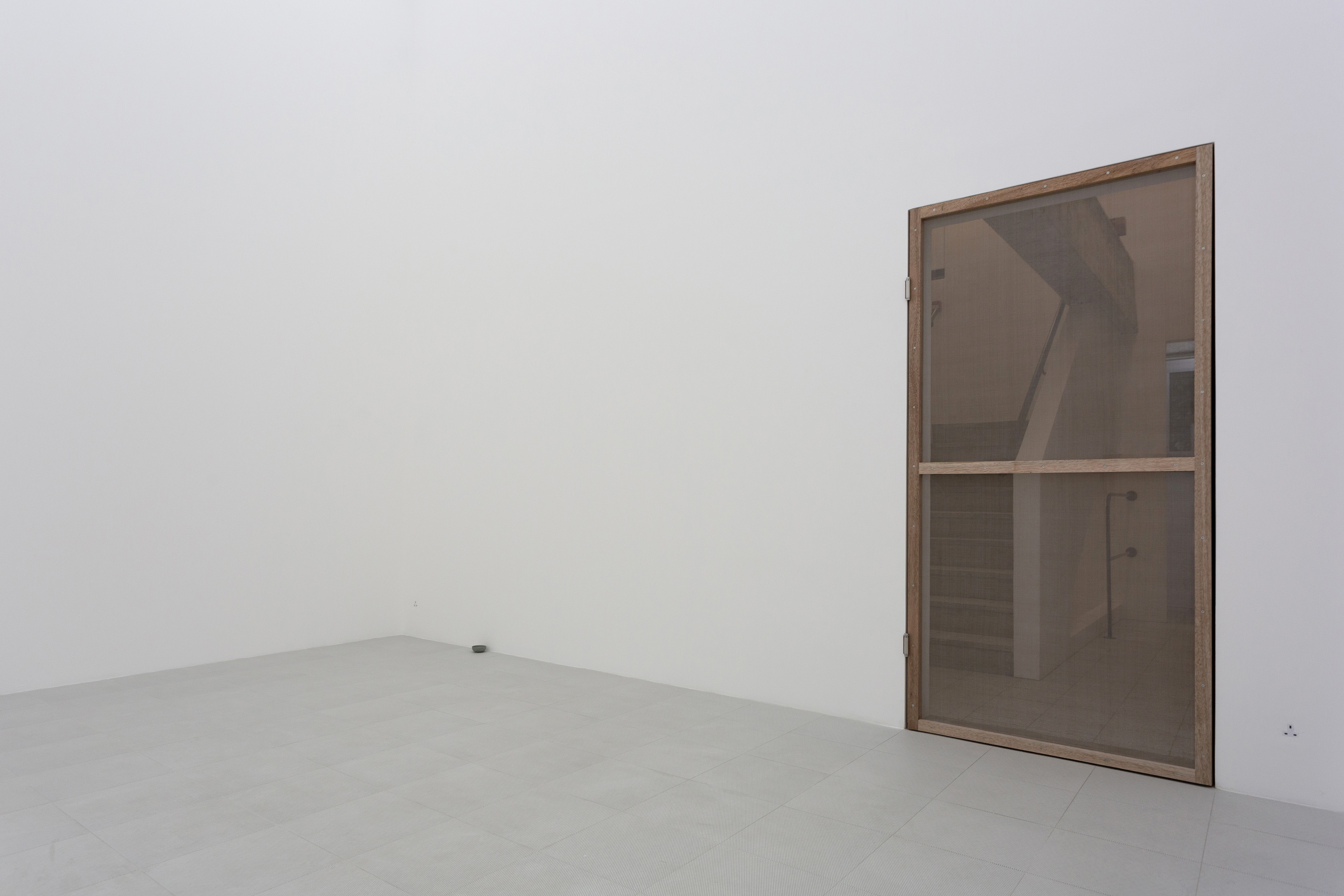 我在空間裡放了一隻蚊子-5