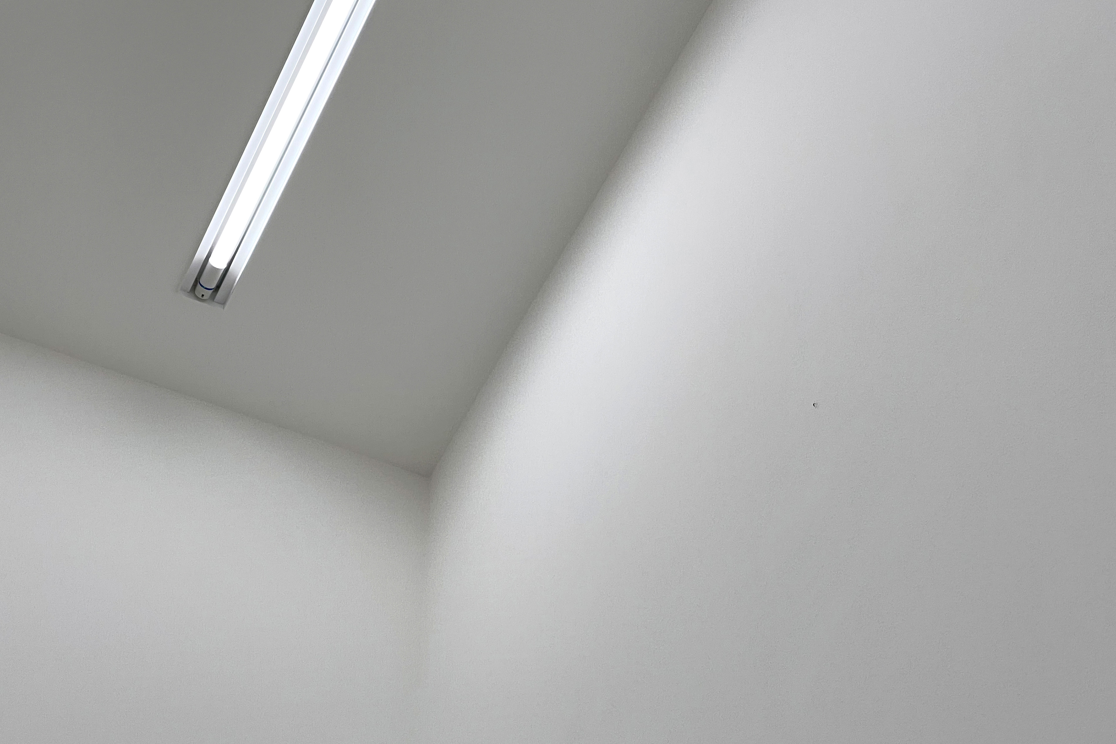 我在空間裡放了一隻蚊子-7