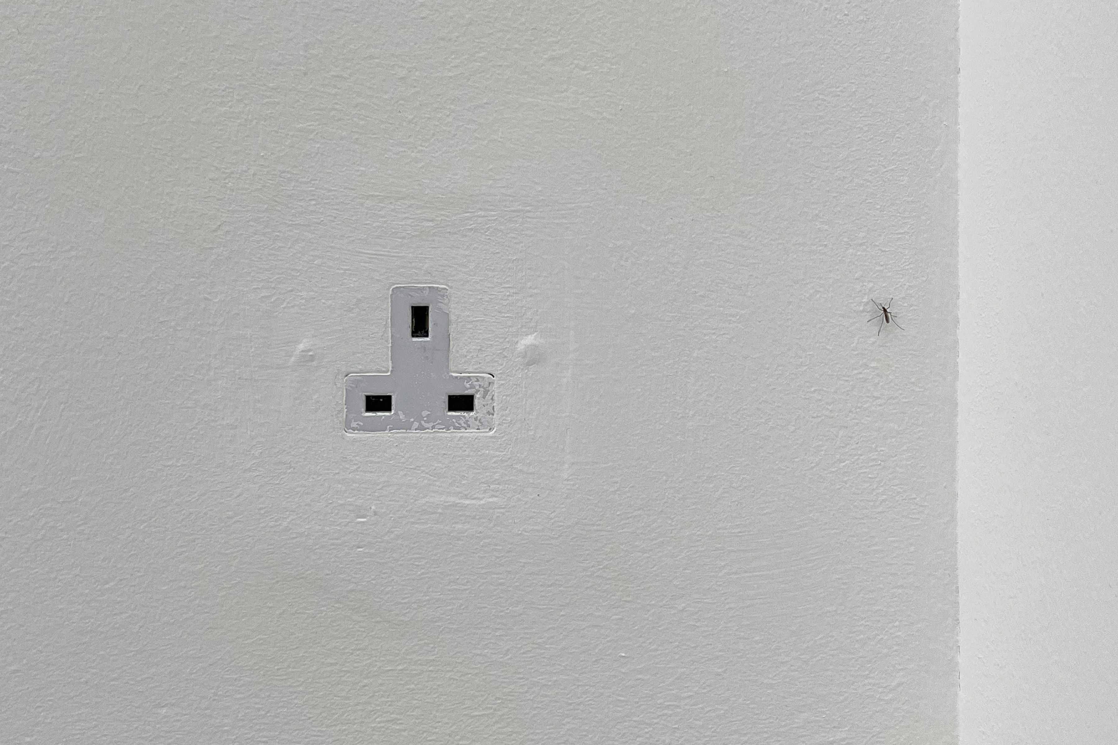 我在空間裡放了一隻蚊子-8