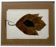 圖抗系2│飛入士林看守所