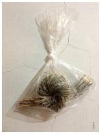 圖抗系的系│把一撮香茅草捲成一團