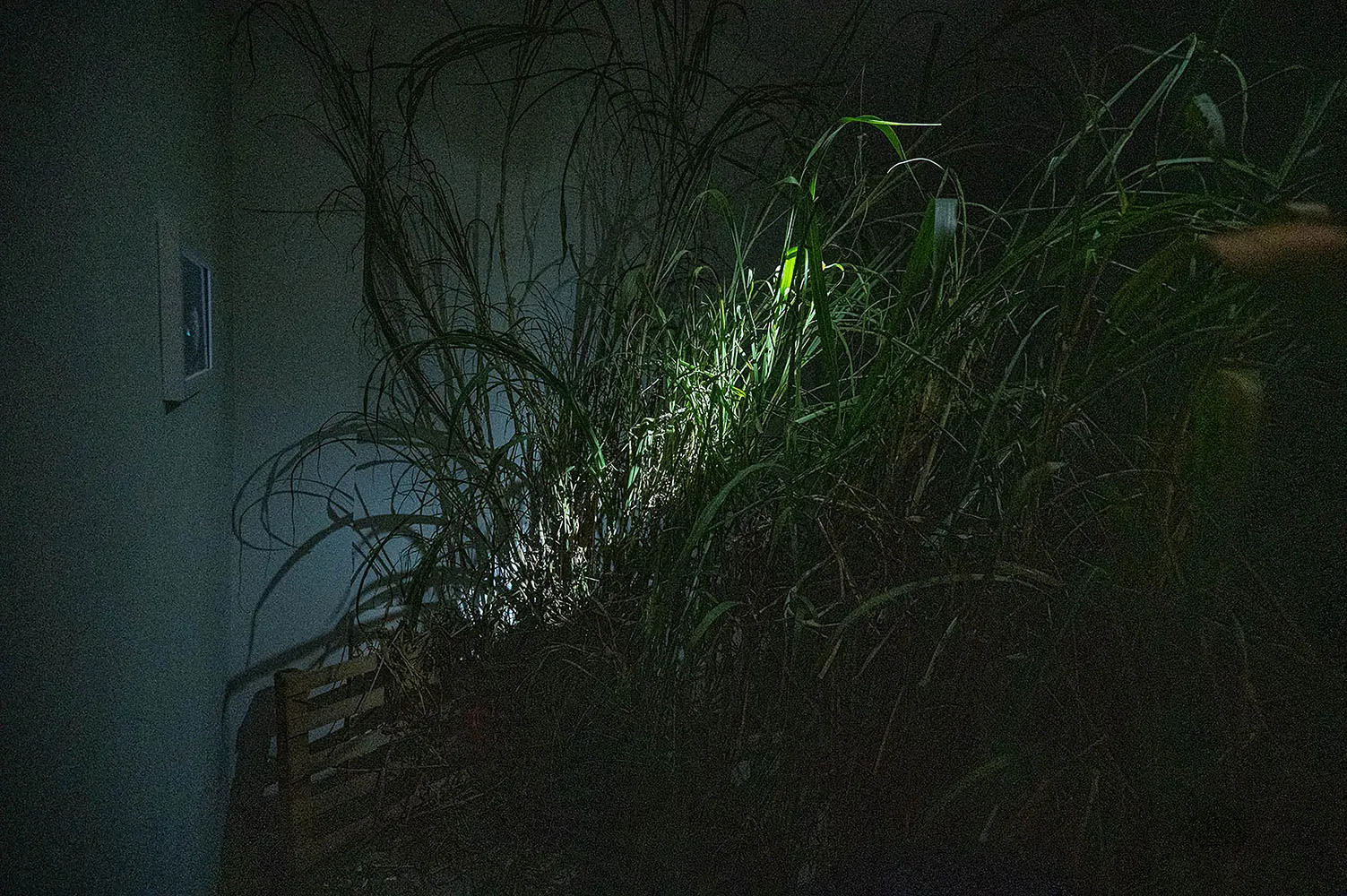 淤泥與堤防-菜菜謀殺案01展場局部圖