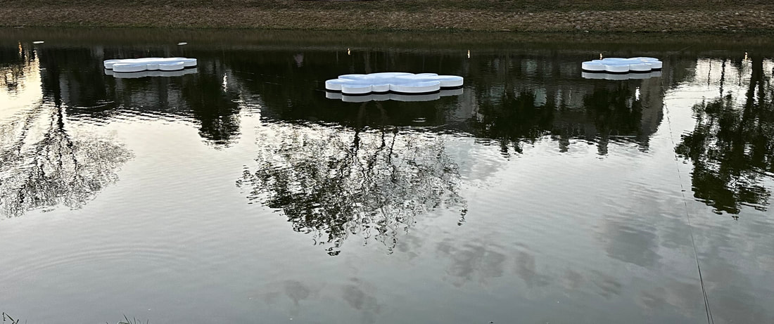 雲的影子